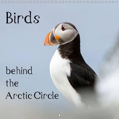 Birds behind the Arctic Circle 2015