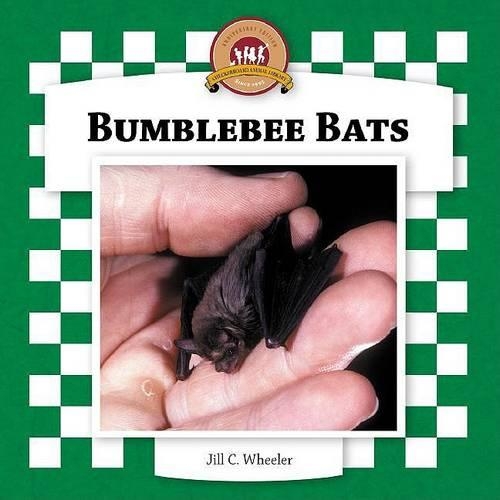 Bumblebee Bats
