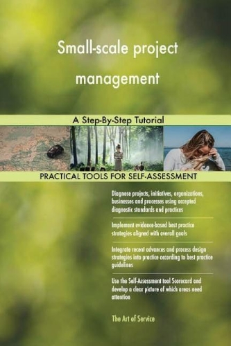 Small-scale project management