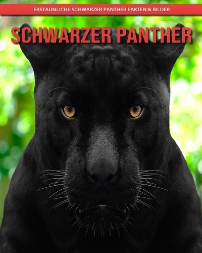 Schwarzer Panther