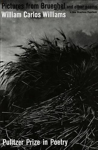 Pictures from Brueghel