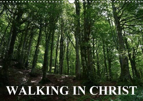 Walking in Christ 2016: Bible verses on stunning nature photographs for every month in a Christian year.(Calvendo Faith)