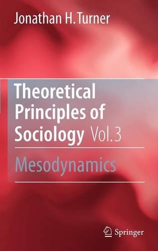 Theoretical Principles of Sociology, Volume 3