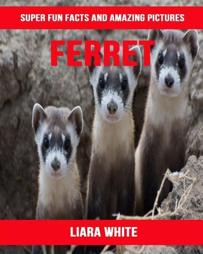 Ferret