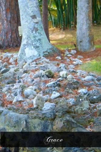 Grace: Six Lenten Discourses Preached In The Parish Church Of Saint Martin's At Freiburg(English)