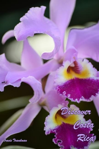 Discover Costa Rica: Travel Journal Costa Rica Trip Diary 30 Page Journal for a Trip to Costa Rica Keep Notes about Where You Went and What You Did