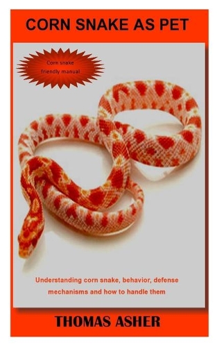 Corn Snake as Pet