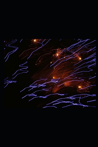 Ruf des Kojoten (James & Kelly): Lesbischer Liebesroman