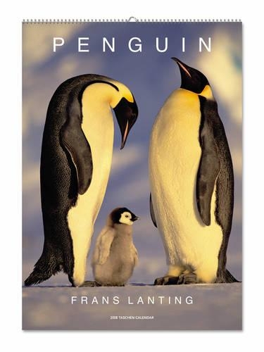 Frans Lanting, Penguin