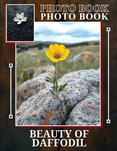 Beauty Of Daffodil Photo Book
