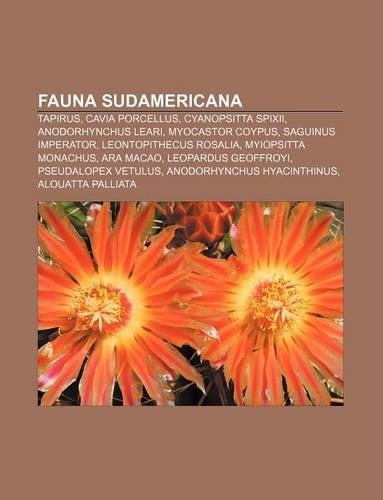 Fauna Sudamericana: Tapirus, Cavia Porcellus, Cyanopsitta Spixii, Anodorhynchus Leari, Myocastor Coypus, Saguinus Imperator(Italian)