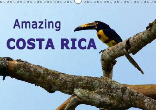 Amazing Costa Rica 2018: Amazing Wildlife in Costa Rica, the Destination for Nature Lovers(Calvendo Nature)