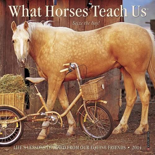 What Horses Teach Us