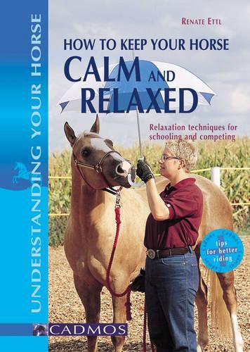 How to Keep Your Horse Calm and Relaxed