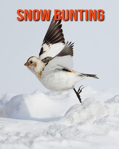 Snow Bunting: Amazing Facts about Snow Bunting