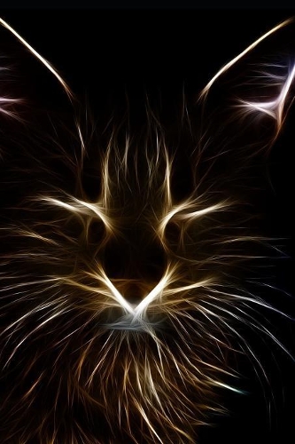 Cat Fractal Journal: 150 Page Lined Notebook/Diary