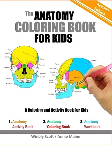 The Anatomy Coloring Book For Kids