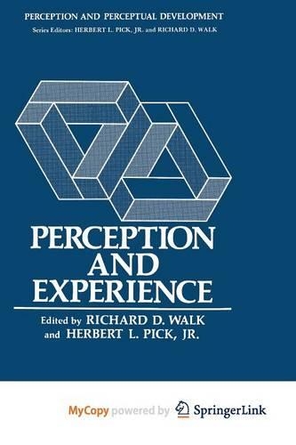 Perception and Experience