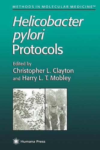Helicobacter pylori Protocols