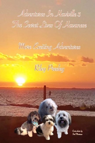 Adventures in Haviville 3 the Secret Lives of Havanese: More Exciting Adventures