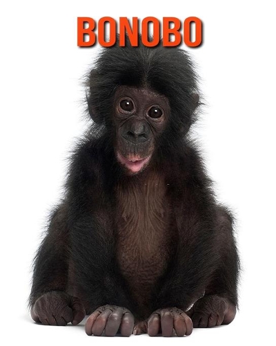 Bonobo: Amazing Facts about Bonobo