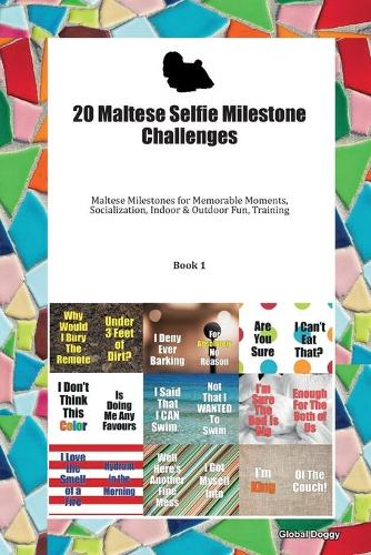 20 Maltese Selfie Milestone Challenges