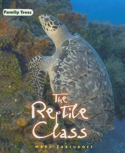 The Reptile Class: (Family Trees)
