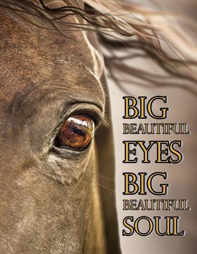 Big Beautiful Eyes Big Beautiful Soul: Large Size Internet Password Organizer 8 1/2" X 11," Large Print Book