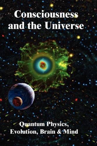 Consciousness and the Universe