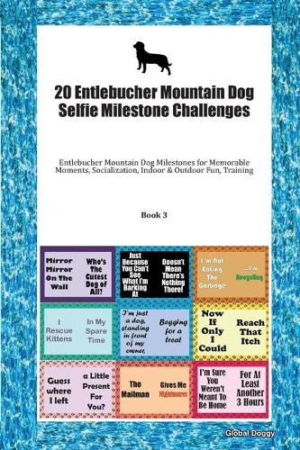 20 Entlebucher Mountain Dog Selfie Milestone Challenges