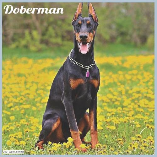 Doberman 2021 Wall Calendar