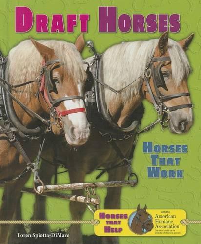 Draft Horses