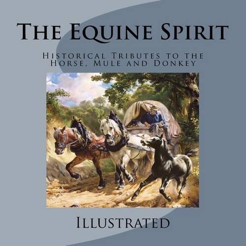 The Equine Spirit