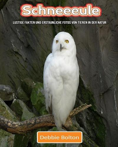 Schneeeule: Lustige Fakten und erstaunliche Fotos von Tieren in der Natur