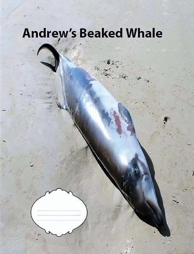 Andrew's Beaked Whale Wide Ruled Line Paper Composition Book: Whale fans, Elementary Notebooks, Casual writing, Ederly notebooks, journals