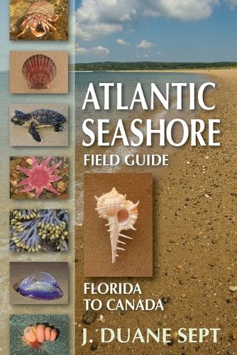 Atlantic Seashore Field Guide
