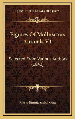 Figures Of Molluscous Animals V1