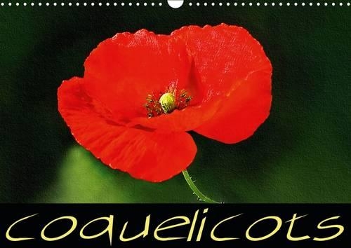 Coquelicots 2016: Série de tableaux de fleurs de coquelicot(Calvendo Nature)