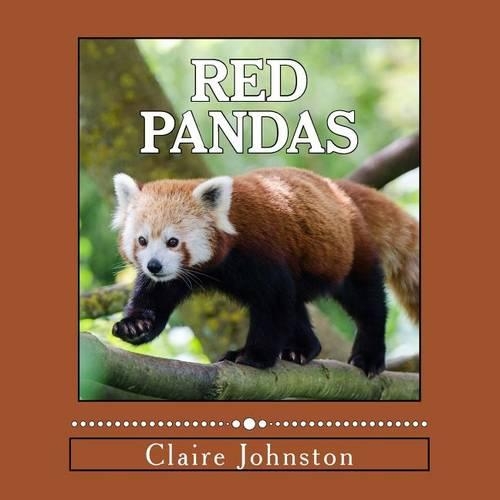 Red Pandas: Shy Forest Dwellers(2 My Favorite Animals)