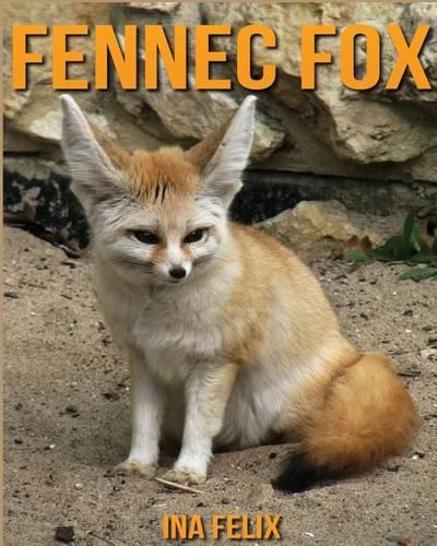 Fennec fox