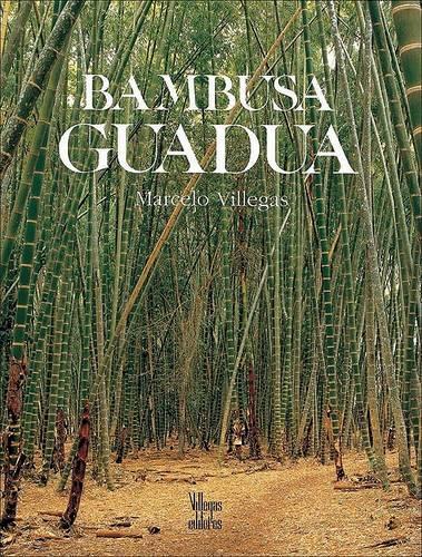 Bambusa Guadua: (Spanish)