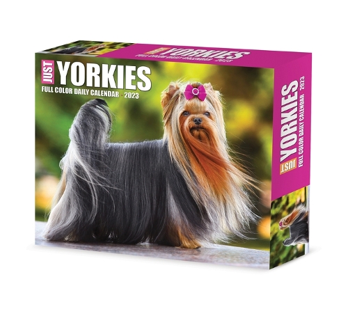 Yorkies 2023 Box Calendar