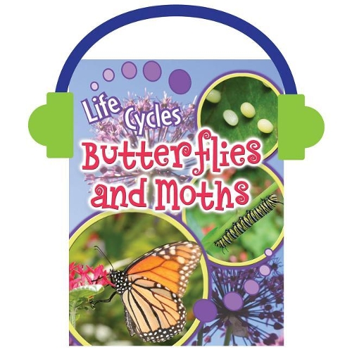Butterflies and Moths: (Life Cycles)