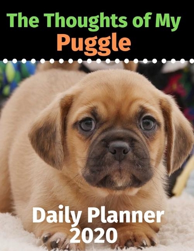 The Thoughts of My Puggle