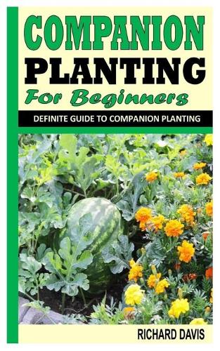 Companion Planting for Beginners