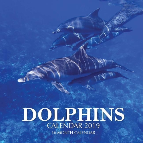 Dolphins Calendar 2019