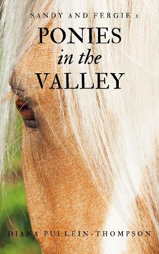 Ponies in the Valley