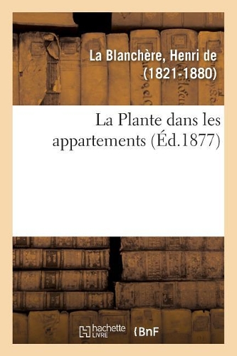 Plante dans les appartements