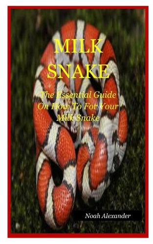 Milk Snake: The Essential Guide On How To Care For Your Milk Snake