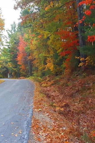 2019 Weekly Planner Country Road Rural Route 134 Pages